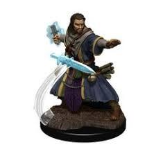 Icons of the Realms Human Wizard